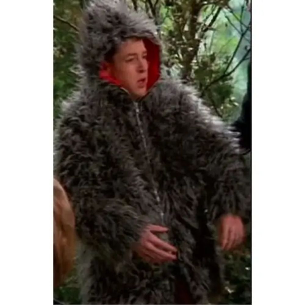3rd-rock-from-the-sun-harry-solomon-coat