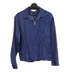 harry-styles-blue-jacket