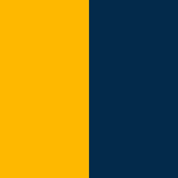 navy-blue-and-yellow
