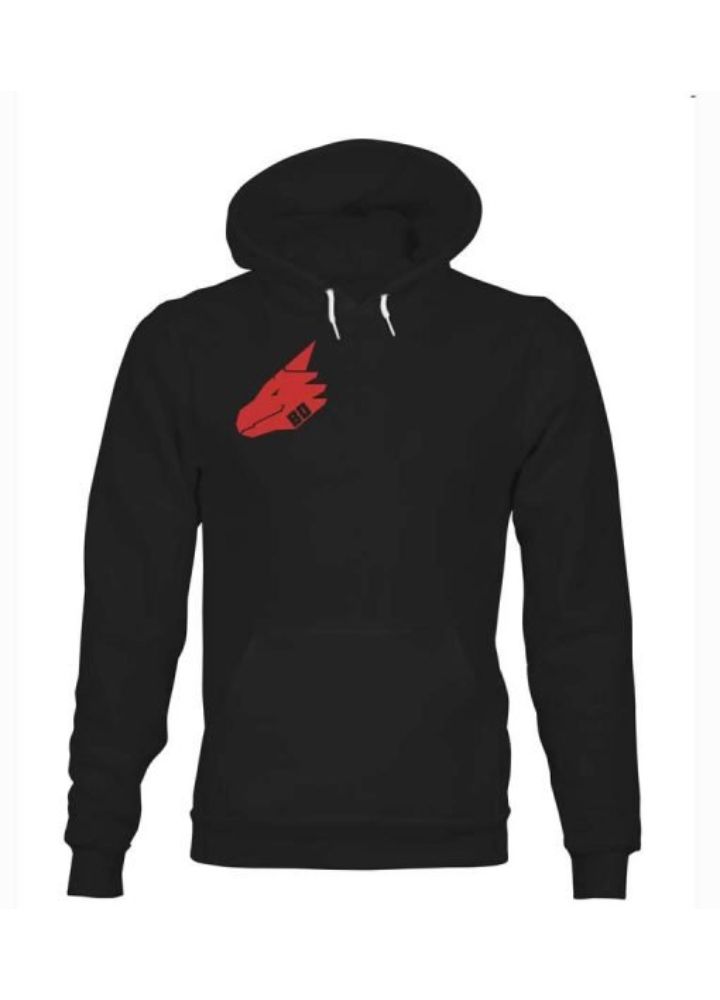bad-dragon-red-logo-hoodie.jpg